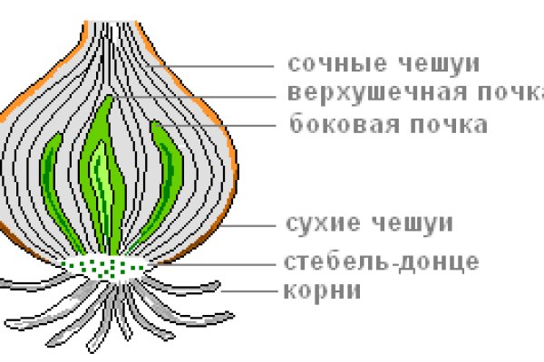 Кракен маркетплейс официальный сайт